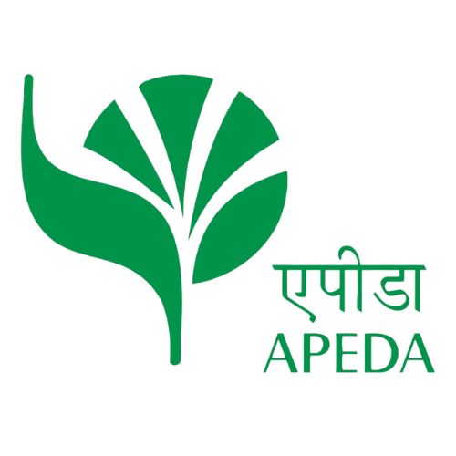 xr:d:DAFGIQcTxA8:8,j:30542893057,t:22071117